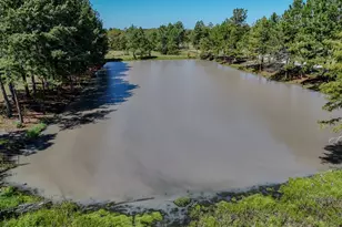 1409 Hwy 177A, Bonifay, FL 32425 - Photo 48