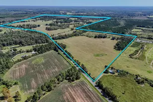 1409 Hwy 177A, Bonifay, FL 32425 - Photo 52