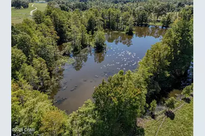 1409 Highway 177A, Bonifay, FL 32425 - Photo 4