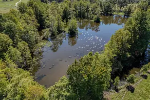 1409 Hwy 177A, Bonifay, FL 32425 - Photo 4