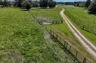 1409 Hwy 177A, Bonifay, FL 32425 - Photo 74