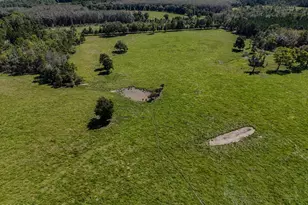 1409 Hwy 177A, Bonifay, FL 32425 - Photo 68