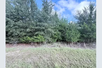 5768 Neals Landing Road, Bascom, FL 32423 - Photo 2