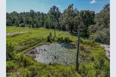 3172 Sandridge Church Road, Sneads, FL 32460 - Photo 34