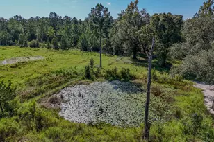 3172 Sandridge Church Rd, Sneads, FL 32460 - Photo 34