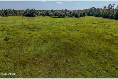 3172 Sandridge Church Road, Sneads, FL 32460 - Photo 36