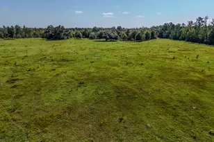 3172 Sandridge Church Rd, Sneads, FL 32460 - Photo 36