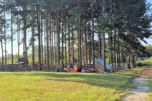 [Address not provided], Chipley, FL 32428 - Photo 22