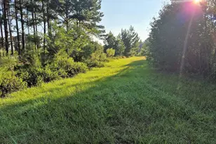 [Address not provided], Chipley, FL 32428 - Photo 24