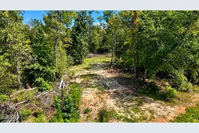 00 Pitts Rd Road, Fountain, FL 32438 - Photo 8