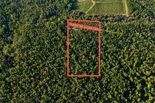 00 Pitts Rd Rd, Fountain, FL 32438 - Photo 1