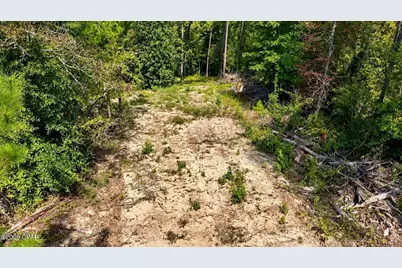 00 Pitts Rd Road, Fountain, FL 32438 - Photo 4