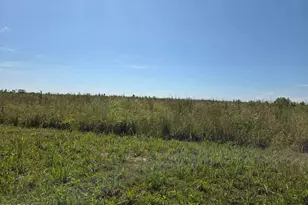 Xxx SE Oak Grove Rd, Kinard, FL 32449 - Photo 1