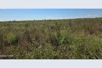 Xxx SE Oak Grove Road, Kinard, FL 32449 - Photo 2
