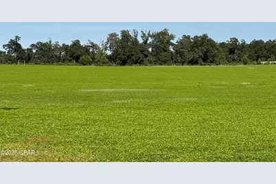 0 Dellwood Cypress Road, Grand Ridge, FL 32442 - Photo 2