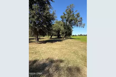 0 Dellwood Cypress Road, Grand Ridge, FL 32442 - Photo 10