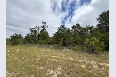 Lot 2 Deltona Boulevard, Chipley, FL 32428 - Photo 4
