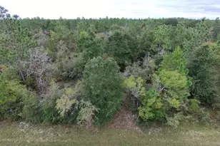 Lot 5 Maywood St, Chipley, FL 32428 - Photo 1