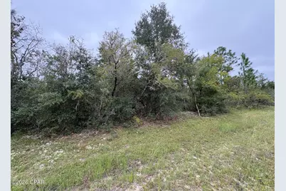 Lot 5 Maywood Street, Chipley, FL 32428 - Photo 4