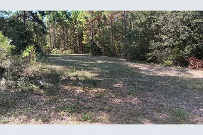 7104 State Highway 81, Ponce de Leon, FL 32455 - Photo 4