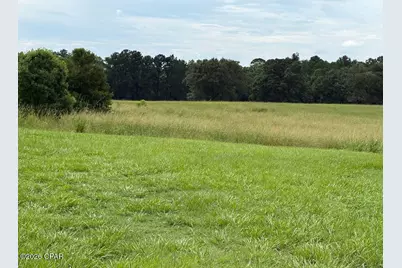 2064 County Road 173, Bonifay, FL 32425 - Photo 12