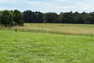 2064 Co Rd 173, Bonifay, FL 32425 - Photo 12