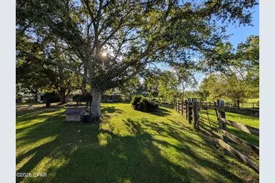 2064 County Road 173, Bonifay, FL 32425 - Photo 4