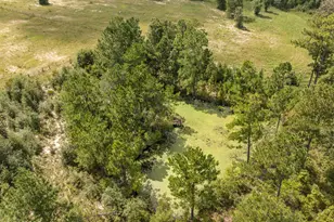 13865 Lesne Rd, Fountain, FL 32438 - Photo 36
