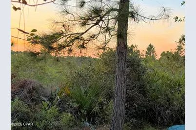 117 Fossil Falls, Panama City Beach, FL 32407 - Photo 22