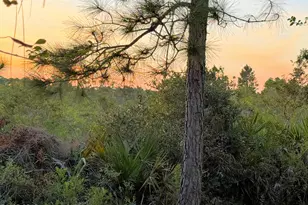 117 Fossil Falls, Panama City Beach, FL 32407 - Photo 22