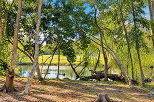 330 Hightower Ave, Bonifay, FL 32425 - Photo 38