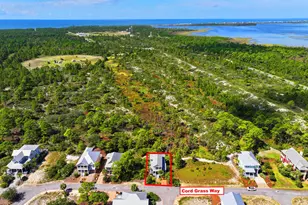 309 Cord Grass Way, Port Saint Joe, FL 32456 - Photo 50