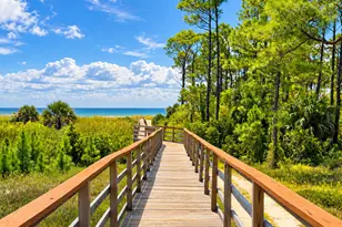 309 Cord Grass Way, Port Saint Joe, FL 32456 - Photo 44