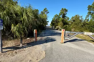 207 Stingray Ln, Port Saint Joe, FL 32456 - Photo 64