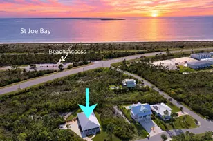 207 Stingray Ln, Port Saint Joe, FL 32456 - Photo 4