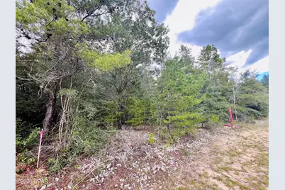 Lot 5 Oxford Avenue, Chipley, FL 32428 - Photo 6