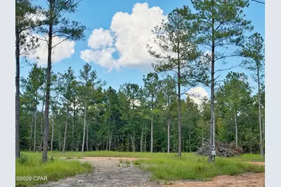 0 Old Spanish Trail, Marianna, FL 32448 - Photo 8
