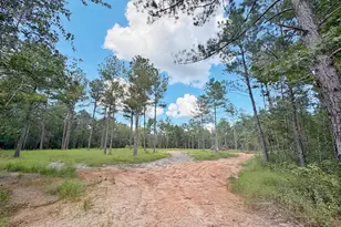 0 Old Spanish Trail, Marianna, FL 32448 - Photo 1