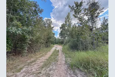 0 Old Spanish Trail, Marianna, FL 32448 - Photo 10