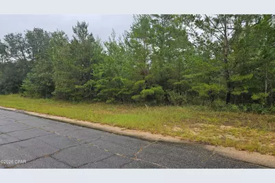 Lot 15 Independence Drive #02, Chipley, FL 32428 - Photo 2
