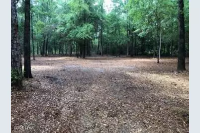 4954 Derby Drive, Chipley, FL 32428 - Photo 4