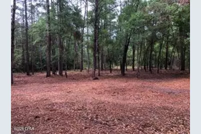 4954 Derby Drive, Chipley, FL 32428 - Photo 2