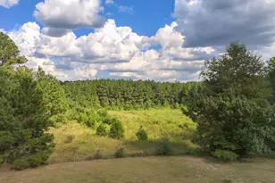 3955 Hwy 77, Chipley, FL 32428 - Photo 62