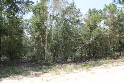 Tbd Monogahela Avenue, Alford, FL 32420 - Photo 2