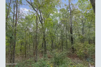 Lot 23 Remington Place, Bonifay, FL 32425 - Photo 2