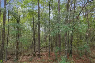 Lot 24 Remington Pl, Bonifay, FL 32425 - Photo 1