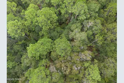 Lot 24 Remington Place, Bonifay, FL 32425 - Photo 14