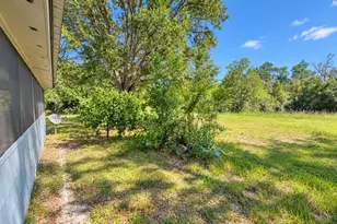 25966 NE George Maloy Ln, Altha, FL 32421 - Photo 34