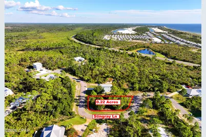 213 Stingray Lane, Port Saint Joe, FL 32456 - Photo 4