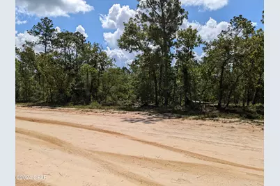 0 Frederica Drive, Marianna, FL 32448 - Photo 4